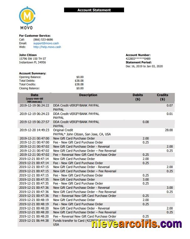 USA MOVO bank statement